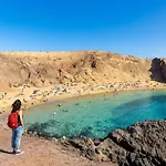 Ariel فيلة
